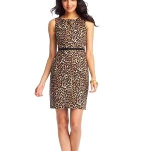 Ann Taylor LOFT Leopard Print Dress